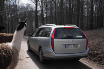 schauen uns hinter her